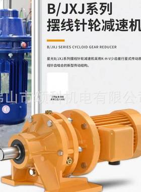 JXJ/BWD2-35-4KW摆线针轮搅拌减速机