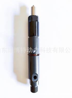 0432131669DLLA146P203国产喷油器真正质量稳定