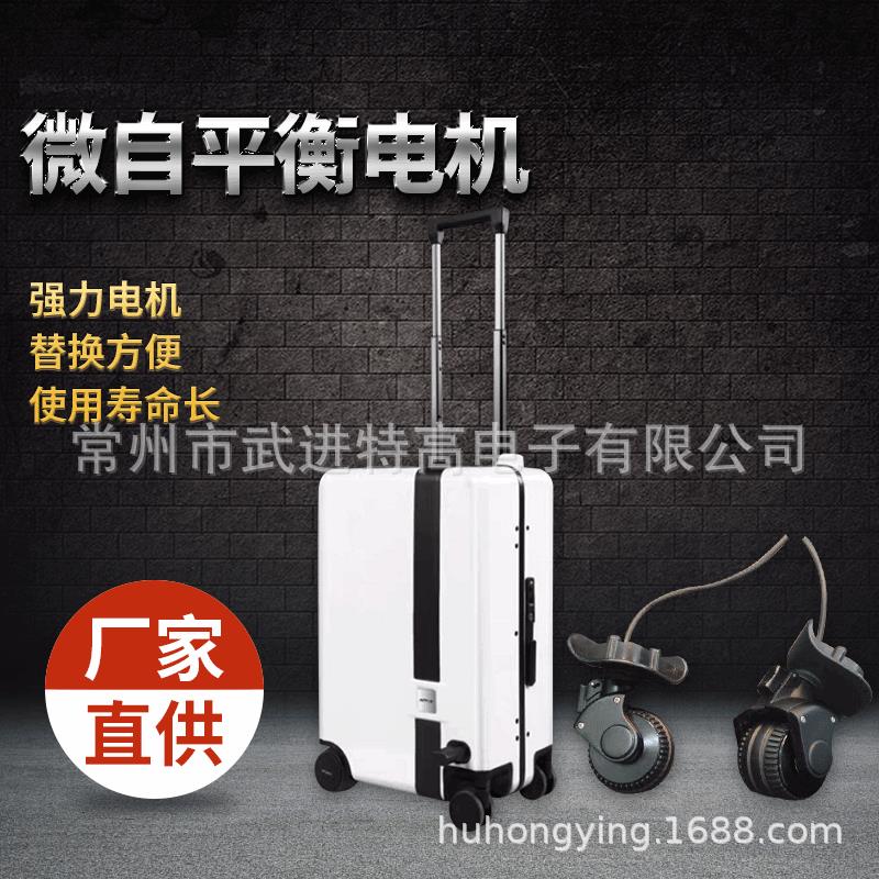 厂家直供 微自平衡电机 智能电动行李箱专用电机50W～150W智能
