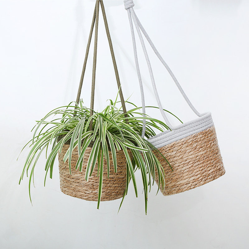 简约花盆吊兰垂吊盆悬挂式花架室内外阳台吊篮盆绿萝盆栽,鲜花速递/花卉仿真/绿植园艺,花盆,淘宝优惠券,粉丝福利购,淘宝优惠卷