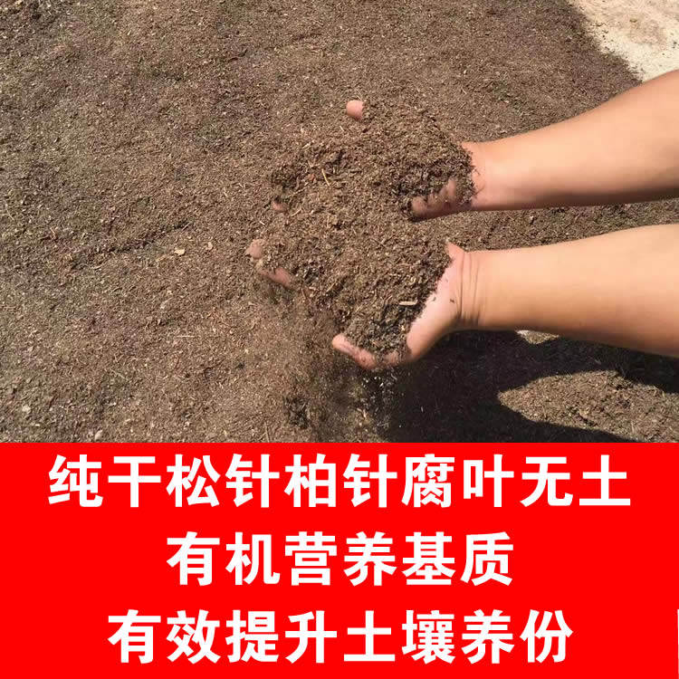 腐熟干松针有机介质微酸君子兰兰花植料通用种花盆景肥料土