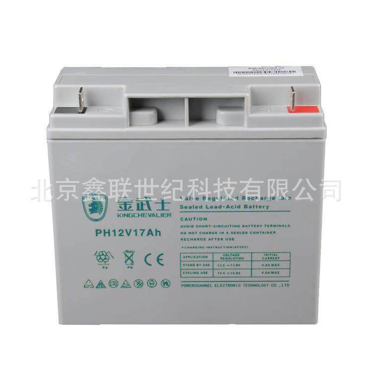 石家庄金武士蓄电池PW38-12-YA铅酸免维护蓄电池12V-38AH