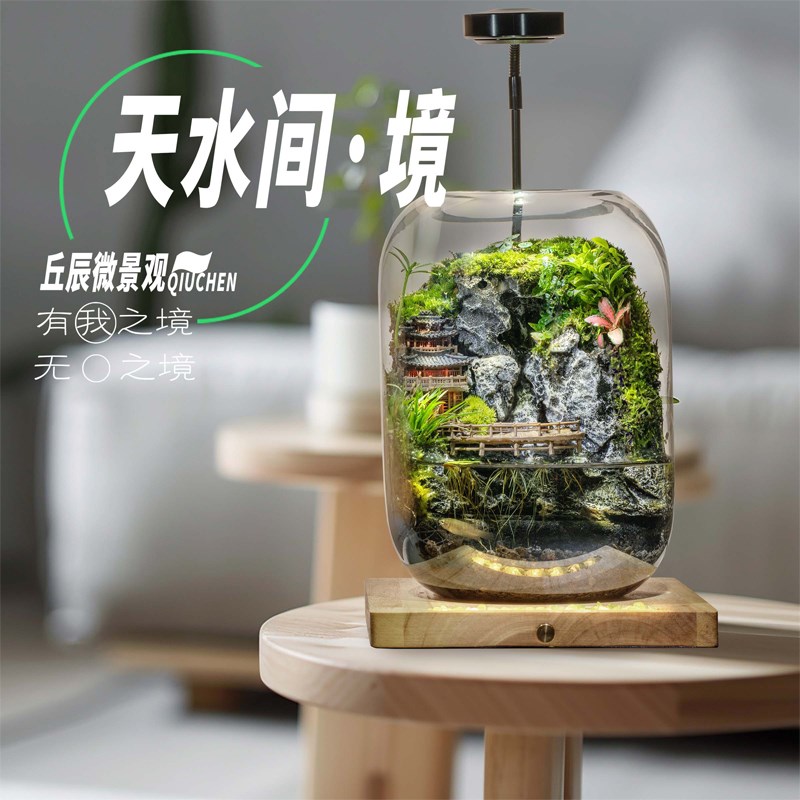 丘辰苔藓微景观生态瓶内桌面摆件绿植Y造景盆栽礼物