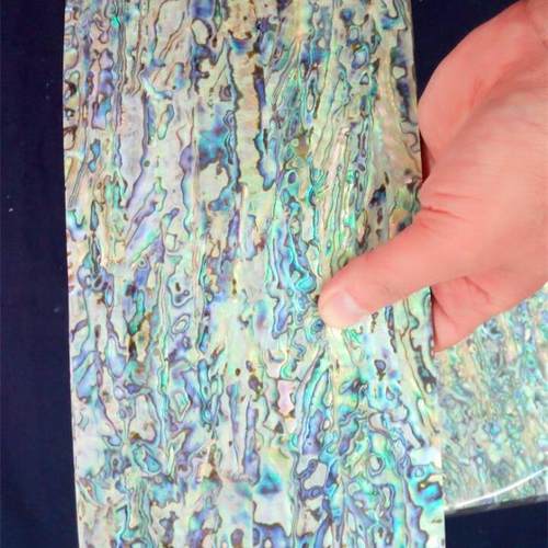 【折扣价】新西兰A级鲍鱼纸140X240MM新西兰鲍鱼贝纸