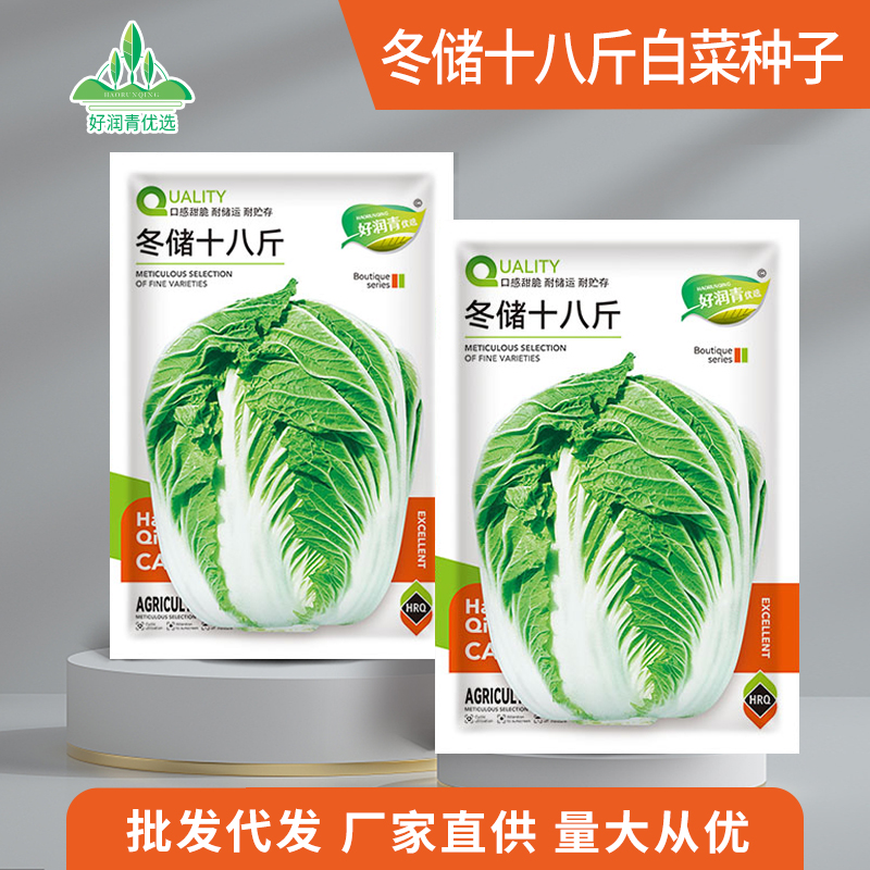 冬储无毛大白菜种子颗颗十八斤越冬山东白菜好吃抗病高产蔬菜大全