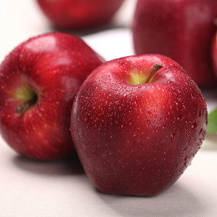 甘肃礼县花牛苹果蛇红果面粉脆沙甜苹果新鲜水果整箱 坏果包赔 包邮