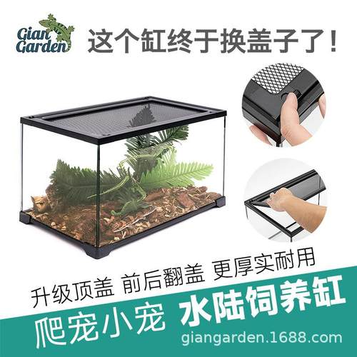 Giangarden巨人爬宠玻璃缸迷你玻璃箱水龟守宫角蛙肥尾鬃狮苗乌龟