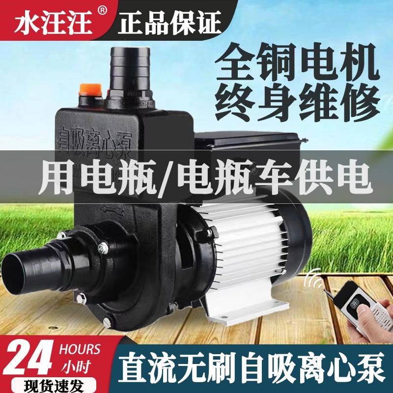 直流自吸泵24v48v60v伏电动车抽水泵无刷离心泵大流量洒水车水泵