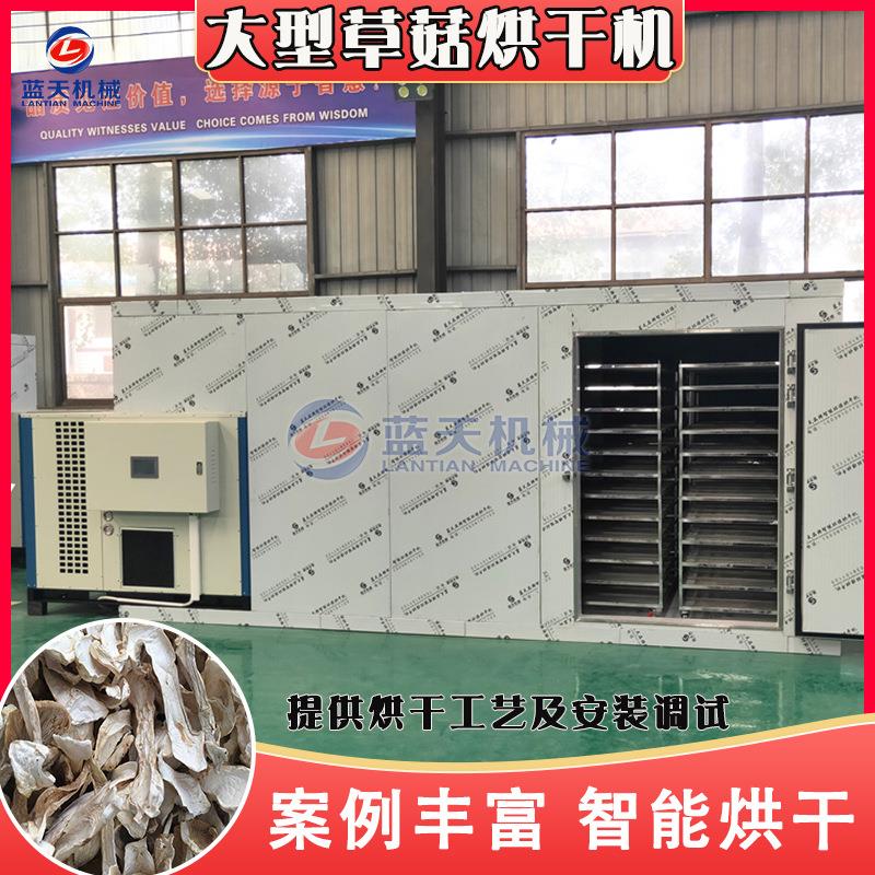 蘑菇烘干机 大型草菇赤松茸切片烘干箱 蟹味菇白玉菇秀珍菇烘干房