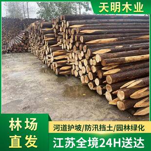 供应园林绿化杉木桩原木打桩木工地河堤建筑工程木桩削尖
