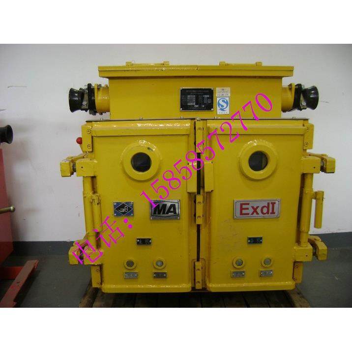 矿用防爆PLC控制箱，煤安防爆PLC可编程电控柜，配电柜,鲜花速递/花卉仿真/绿植园艺,割草机/草坪机,淘宝优惠券,粉丝福利购,淘宝优惠卷