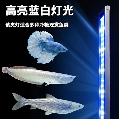 蓝白光鱼缸补光灯模拟太阳光