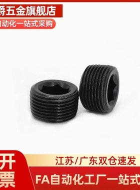 MSWT/MSWTK-J/S/1/2/3/4/5/6/8沉头螺塞