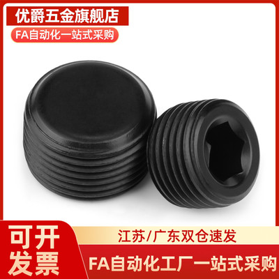 MSWT/MSWTK-J/S/1/2/3/4/5/6/8沉头螺塞