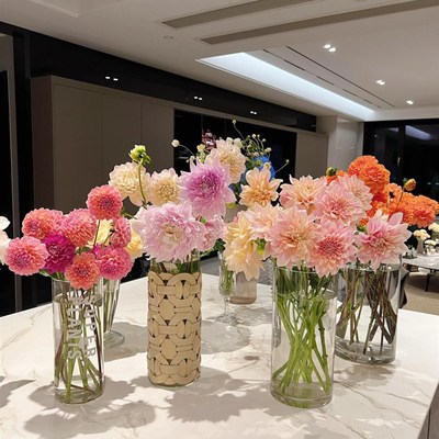 奶油桃子大丽花鲜切花网红款云南直发真培插花高品质