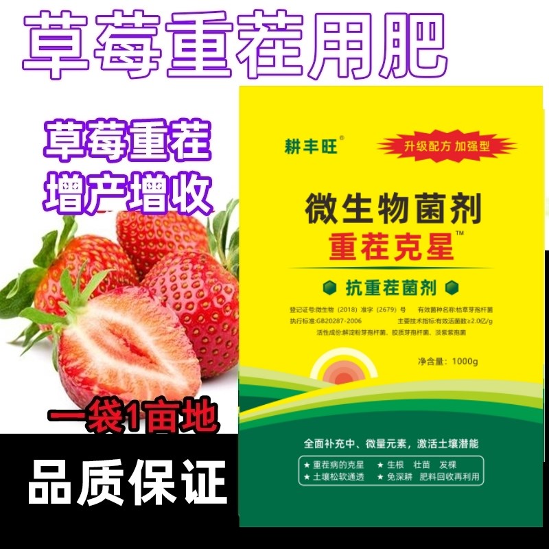 草莓重茬肥重茬草莓根腐病专用抗盐碱免深耕土壤疏松剂重茬剂