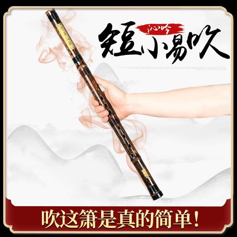 短萧乐器初学入门专业高档F紫竹洞箫笛八孔G调古风玉短箫随身小潇