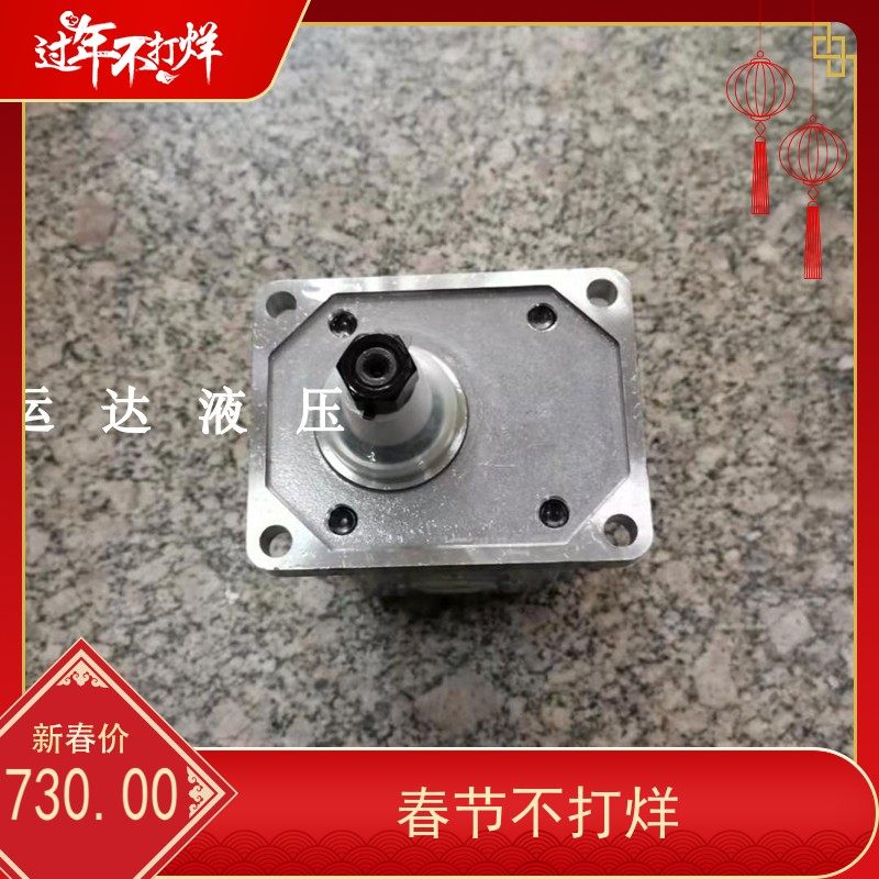 环卫车齿轮泵  油泵  AV,标准件/零部件/工业耗材,液压泵,淘宝优惠券,粉丝福利购,淘宝优惠卷