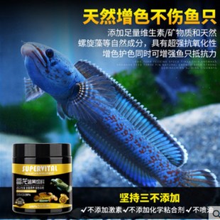 速倍妥雷龙鱼饲料阿萨姆巴卡铅笔鱼七彩血斑专用鱼粮小颗粒