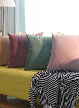 Solid-colored throw pillows Pink Cushions velvet backrest