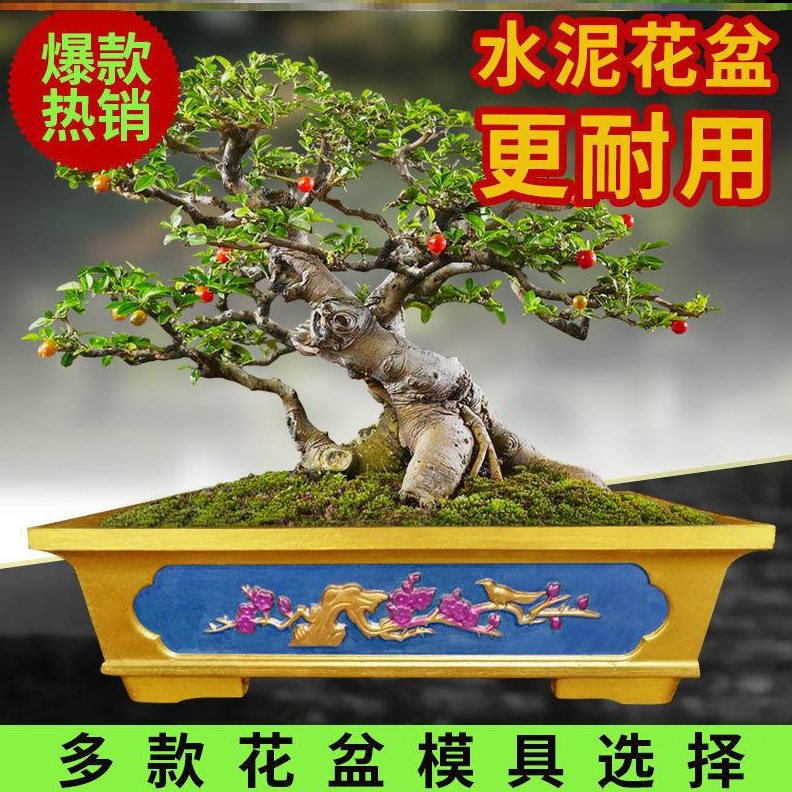 模浇现菱形花盘欧式塑料模具罗马柱长方形盆景模型花盘水泥加厚子