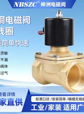 NBSZC 2W-50/小电磁阀 太阳能电磁阀排水进水电磁阀 AC220V多电压