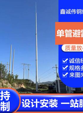 供应单管避雷针塔GH13米15米标准避雷针单管避雷塔接闪杆避雷针塔