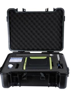 SF8000-PH3磷化氢气体分析仪报警器光离子原理