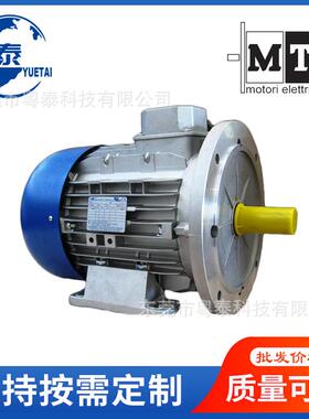 意大利MT电机TN63B471B480B490L4TFP100B4TFP112B4132MB4