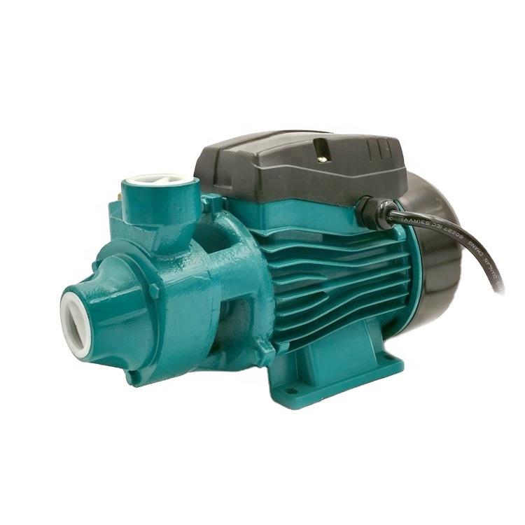 QB60QB70QB80220V小型家用园林灌溉泵清水泵旋涡泵浙江东南亚