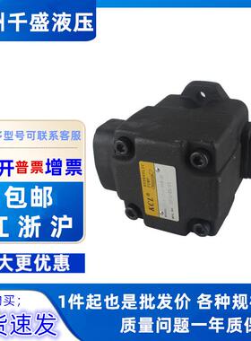 KCL凯嘉VQ215-26-6/8/11/14/17/19/23/26/31-F-RAA-01叶片泵