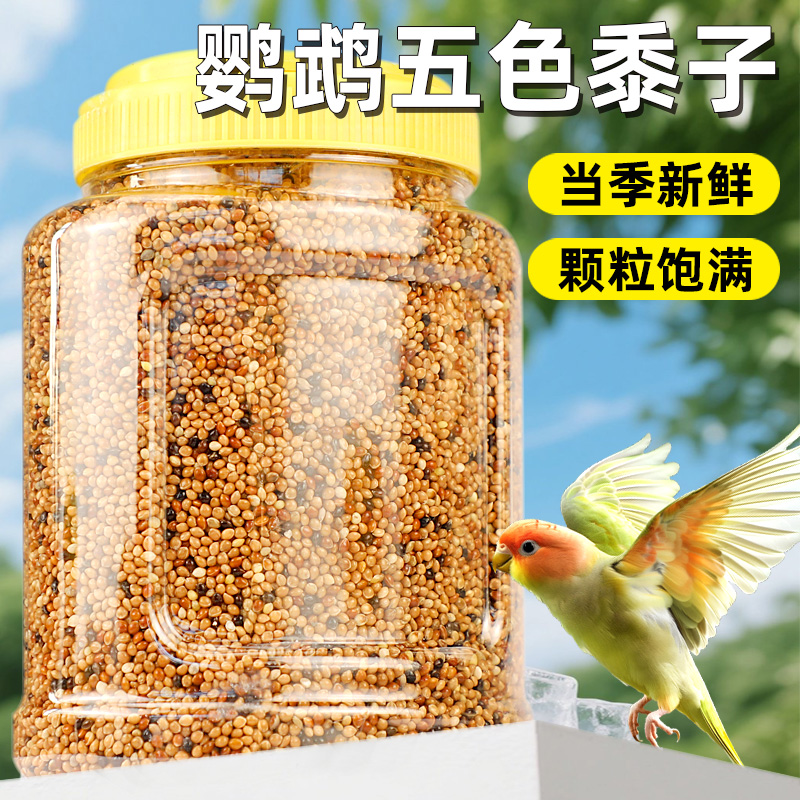 混合鸟粮鸟食鹦鹉饲料虎皮五色黍子食物谷子虎皮玄凤牡丹饲料