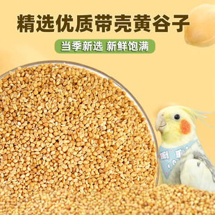 鹦鹉鸟粮饲料虎皮玄凤牡丹珍珠鸟专用鸟食鸟饲料食物谷子混合粮食