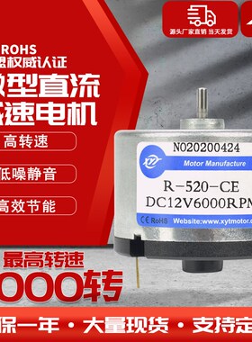 新永泰R5直流有刷高速电机6vvv大功率马达小型可调减速电机