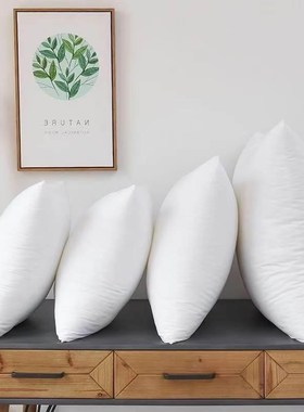 Throw Pillows Sofa Couch Cushion Decorative Pillow insert枕