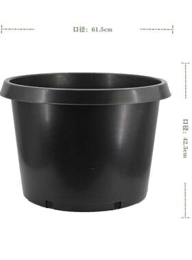 25加仑盆黑色塑料种植大号育苗园艺果树25加仑花盆