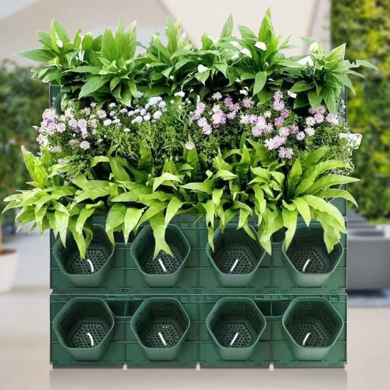 种植盒园艺塑料花盆植物墙立体壁蜂巢挂式绿化墙10厘口立体绿化图片