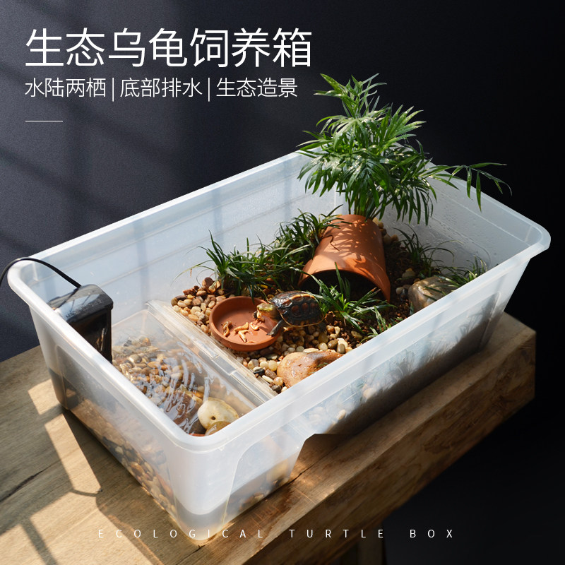 黄缘安缘专用饲养缸别墅家用客厅养乌造缸大超生态龟景半水陆龟缸