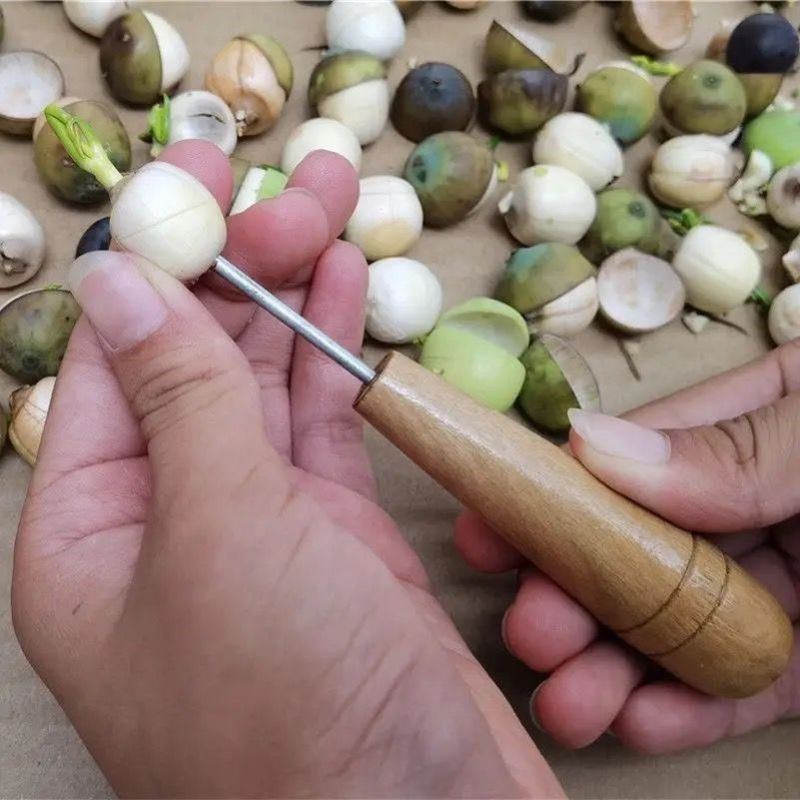 剥莲子神器莲子剥壳机莲子去芯工具去皮神器开莲子工具板栗开口器