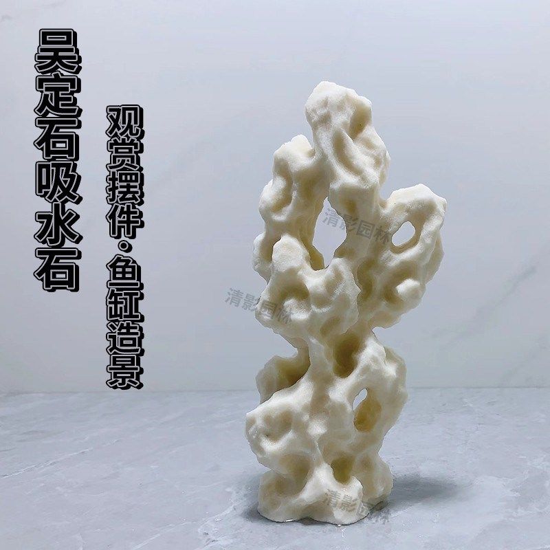 吴定水石吸水石金钱菖蒲盆附石捕虫堇盆鱼缸造景绿植摆件,鲜花速递/花卉仿真/绿植园艺,造型盆景,淘宝优惠券,粉丝福利购,淘宝优惠卷