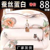 加厚子冬被保暖蛋白丝棉被芯春秋冬天太空被褥冬款 冬季 双人
