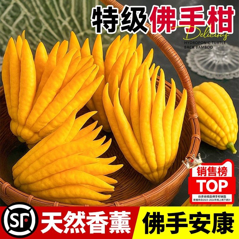 佛手柑新鲜水培室内佛手瓜水养绿植闻香桌面观赏盆栽大果天然香薰