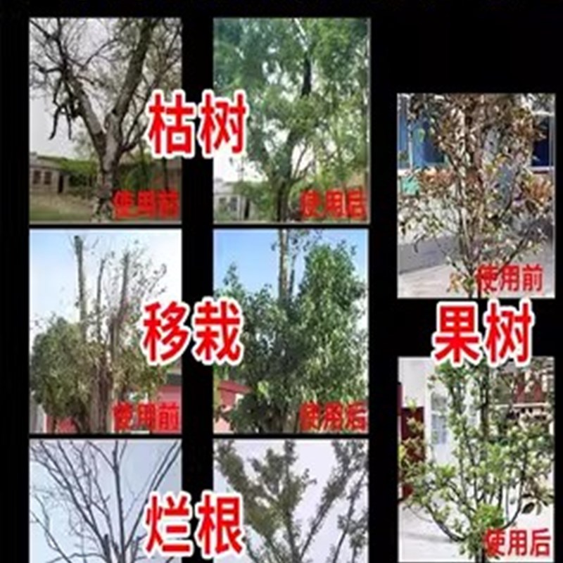 大树复活液大树生根药水果树再生小苗枯树烂根烂苗根腐专用复活灵