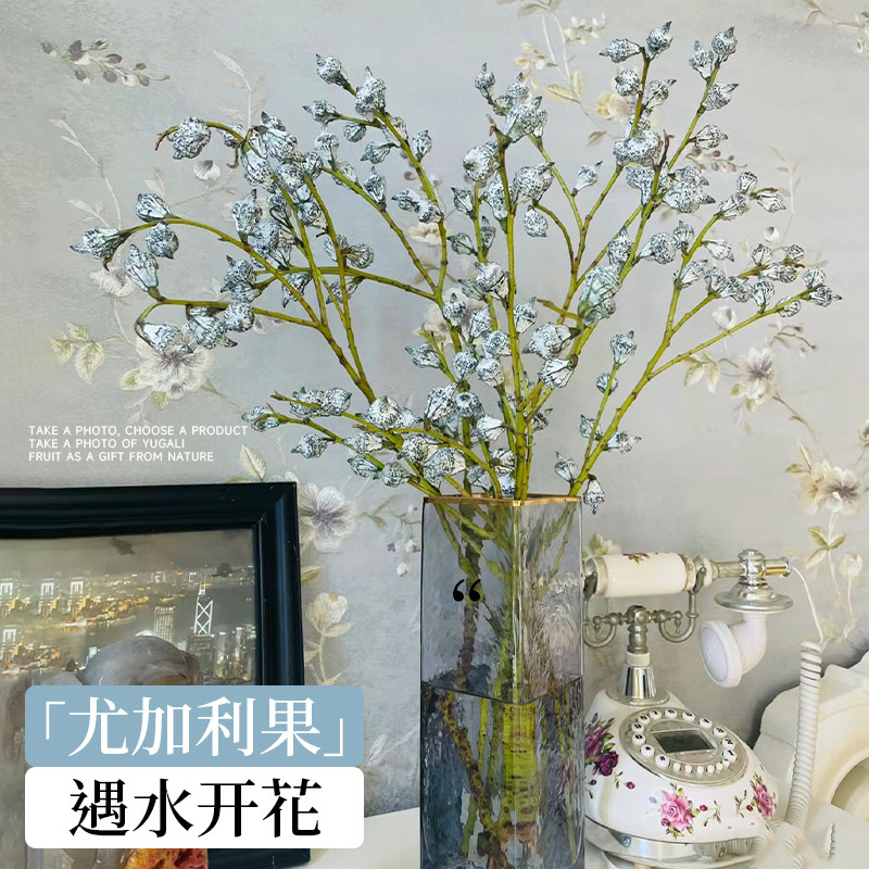 鲜加利果尤花云南直发干燥花花束客厅摆设花瓶摆件插物植培鲜果