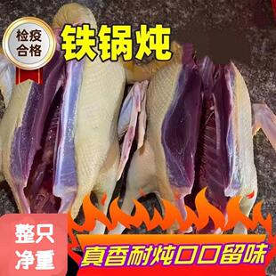 整只带头脖掌翅净膛驰雁生鲜新鲜活杀雪雁礼盒非鹅肉