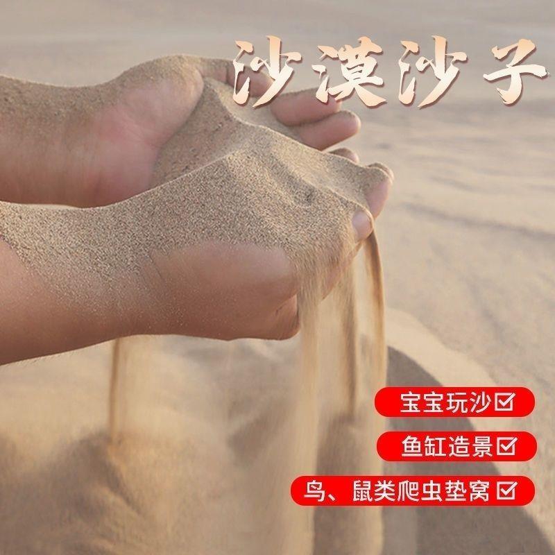 100斤沙漠沙细沙儿童宝宝玩具沙仓鼠浴沙宠物尿沙乌龟鱼缸沙子专