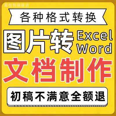 图片转excel文档word制作排版pdf修改处理表格代做图片转换扫描件