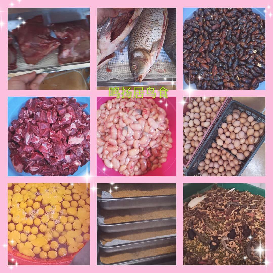 食谷鸟食中国金青鸟饲料玉鸟芙蓉灰燕黄雀亮毛营养收身500g