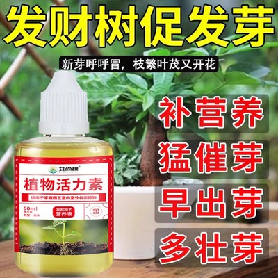 发财树催芽剂植物生根发芽营养液黄叶枯叶烂根专用药爆芽素活力素