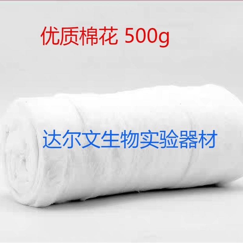 实验用棉花优质棉花 脱uozh 脂   实验室用品棉花 0g,办公设备/耗材/相关服务,其它,淘宝优惠券,粉丝福利购,淘宝优惠卷